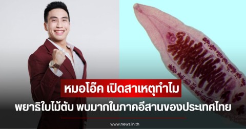 หมอโอ๊ค เปิดสาเหตุทำไม พยาธิใบไม้ตับ พบมากในภาคอีสานของประเทศไทย พร้อมเผยสิ่งที่น่ากลัวที่สุดหลังเป็น