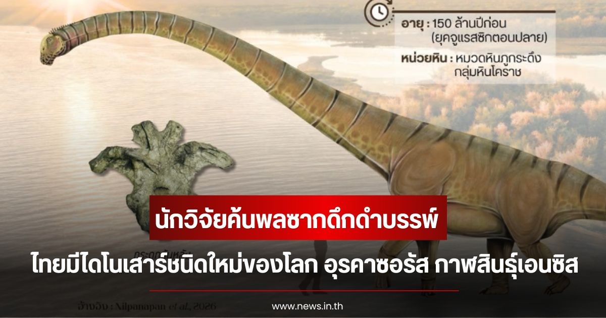 นักวิจัยค้นพบซากดึกดำบรรพ์ ไทยมีไดโนเสาร์ชนิดใหม่ของโลก อุรคาซอรัส กาฬสินธุ์เอนซิส