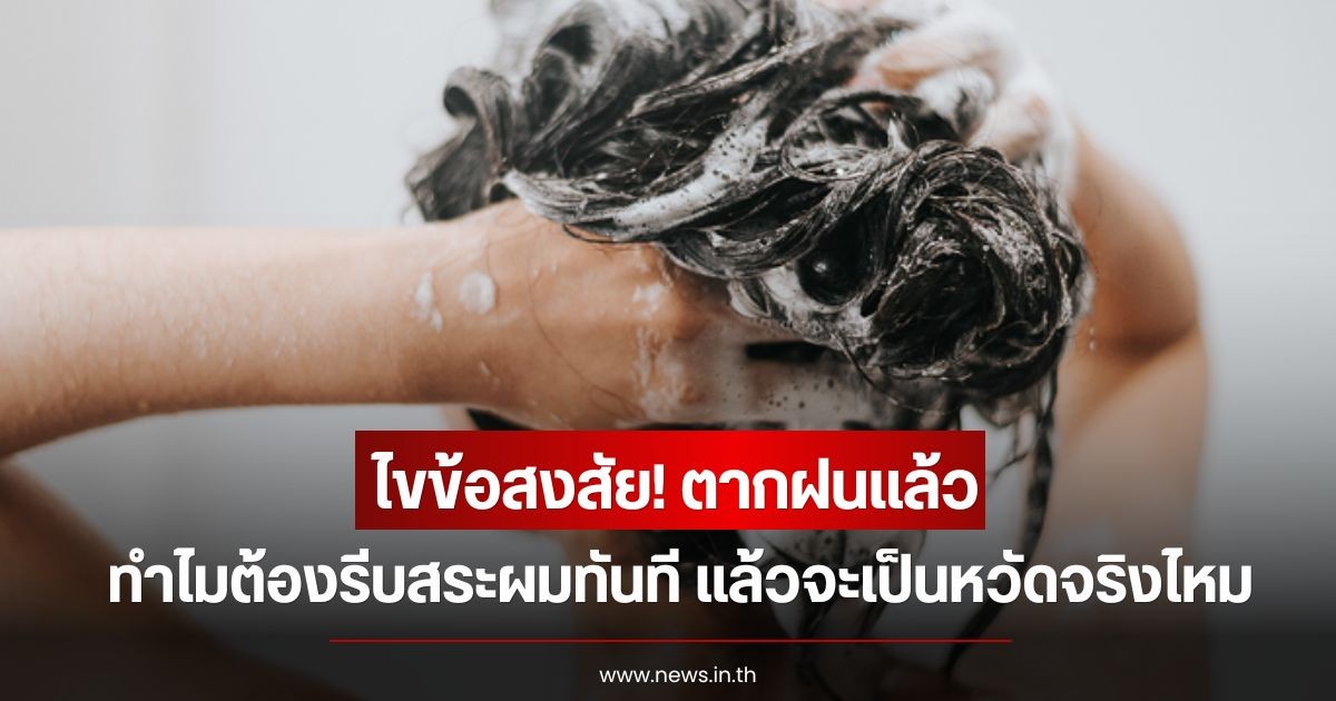 ไขข้อสงสัย! ตากฝนแล้ว ทำไมต้องรีบสระผมทันที แล้วจะเป็นหวัดจริงไหม