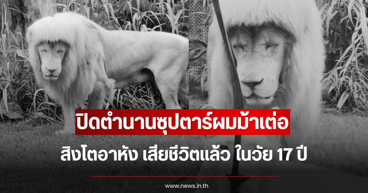 ปิดตำนานซุปตาร์ผมม้าเต่อ สิงโตอาหัง เสียชีวิตแล้ว ในวัย 17 ปี (ข่าวต่างประเทศ)