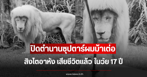 ปิดตำนานซุปตาร์ผมม้าเต่อ สิงโตอาหัง เสียชีวิตแล้ว ในวัย 17 ปี (ข่าวต่างประเทศ)
