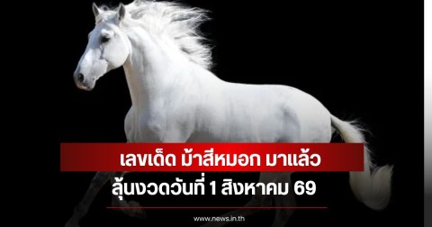 เลขเด็ด ม้าสีหมอก มาแล้ว ลุ้นงวดวันที่ 1 สิงหาคม 69