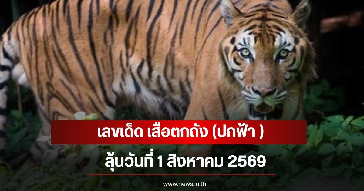 เลขเด็ด เสือตกถัง (ปกฟ้า ) ลุ้นวันที่ 1 สิงหาคม 2569