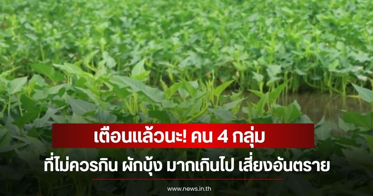เตือนแล้วนะ! คน 4 กลุ่ม ที่ไม่ควรกิน ผักบุ้ง มากเกินไป เสี่ยงอันตราย