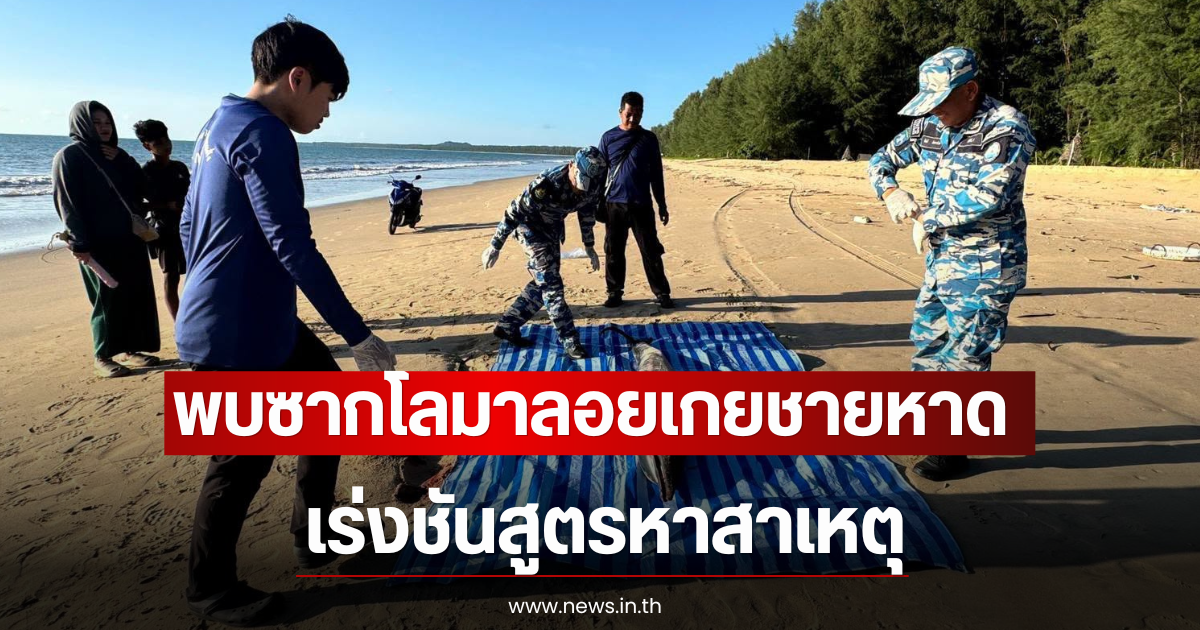 พบซากโลมาลอยเกยชายหาด เร่งชันสูตรหาสาเหตุ