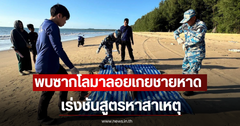 พบซากโลมาลอยเกยชายหาด เร่งชันสูตรหาสาเหตุ