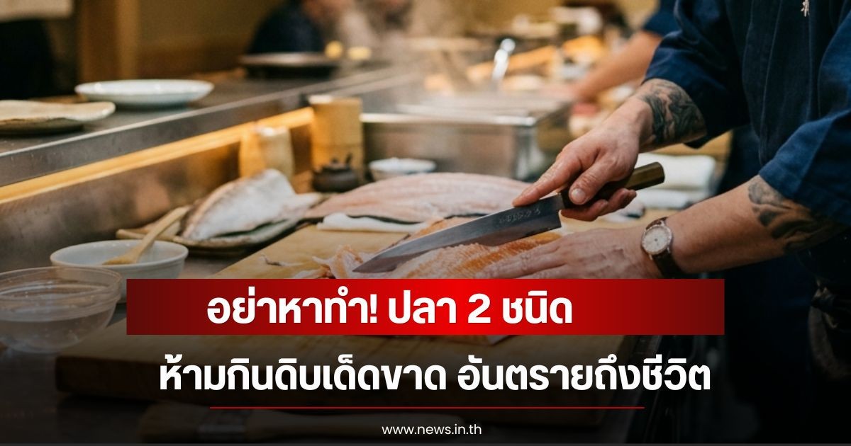 อย่าหาทำ! ปลา 2 ชนิด ห้ามกินดิบเด็ดขาด อันตรายถึงชีวิต