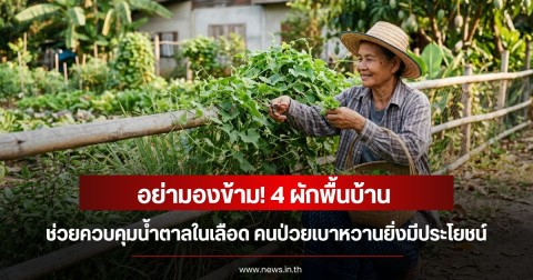 อย่ามองข้าม! 4 ผักพื้นบ้าน ช่วยควบคุมน้ำตาลในเลือด คนป่วยเบาหวานยิ่งมีประโยชน์