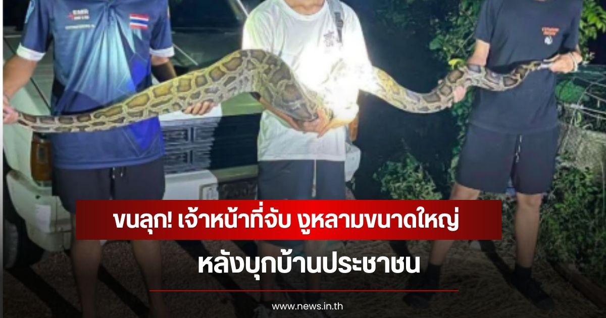ขนลุก! เจ้าหน้าที่จับ งูหลามขนาดใหญ่ หลังบุกบ้านประชาชน