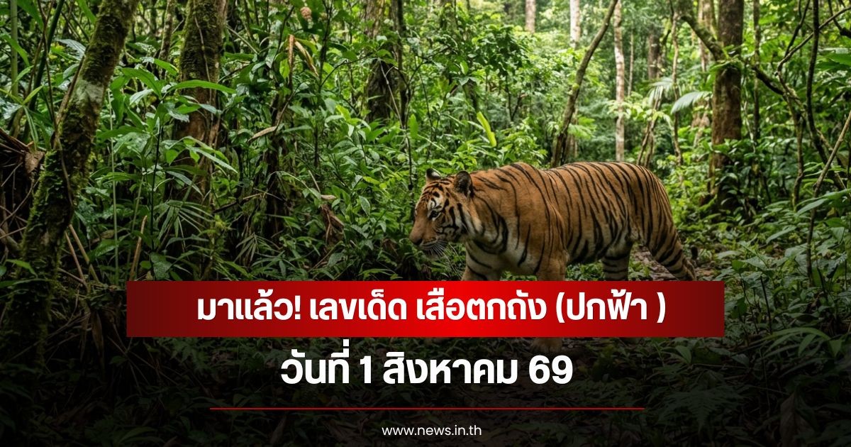 มาแล้ว! เลขเด็ด เสือตกถัง (ปกฟ้า ) วันที่ 1 สิงหาคม 2569