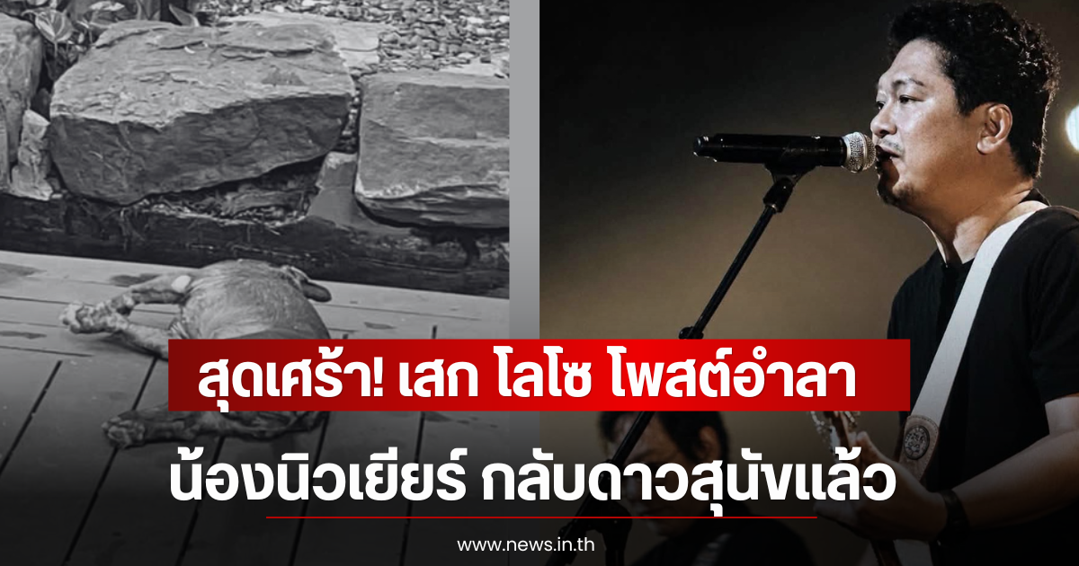 สุดเศร้า! เสก โลโซ โพสต์อำลา น้องนิวเยียร์ กลับดาวสุนัขเเล้ว