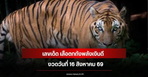 เลขเด็ด เสือตกถังพลังเงินดี  งวดวันที่ 16 สิงหาคม 69
