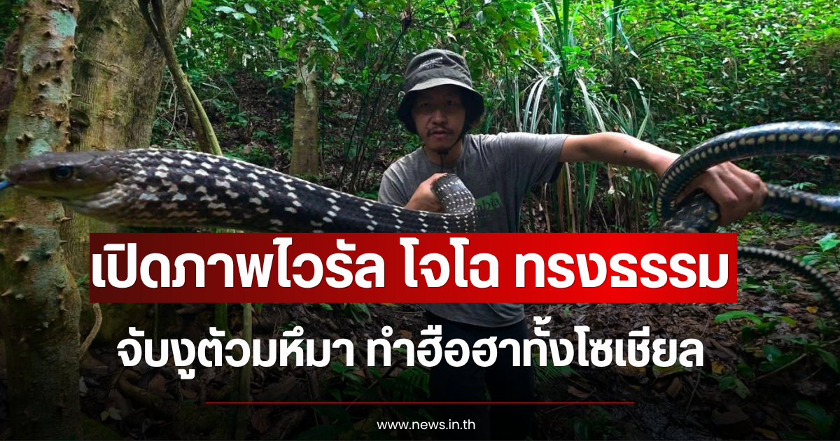 เปิดภาพไวรัล โจโฉ ทรงธรรม จับงูตัวมหึมา ทำฮือฮาทั้งโซเชียล