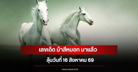 เลขเด็ด ม้าสีหมอก มาแล้ว ลุ้นวันที่ 16 สิงหาคม 69