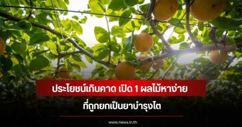 ประโยชน์เกินคาด เปิด 1 ผลไม้หาง่าย ที่ถูกยกเป็นยาบำรุงไต