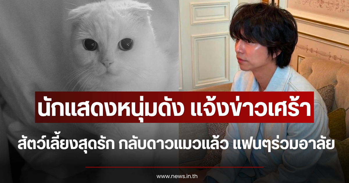 นักแสดงหนุ่มดัง แจ้งข่าวเศร้า สัตว์เลี้ยงสุดรัก กลับดาวแมวแล้ว แฟนๆร่วมอาลัย (ตปท.)
