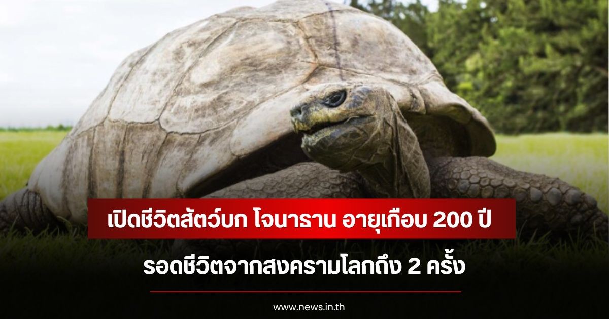 เปิดชีวิตสัตว์บก โจนาธาน อายุเกือบ 200 ปี รอดชีวิตจากสงครามโลกถึง 2 ครั้ง