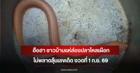 ฮือฮา ชาวบ้านแห่ส่องปลาไหลเผือก ไม่พลาดลุ้นเลขเด็ด งวดที่ 1 ก.ย. 69