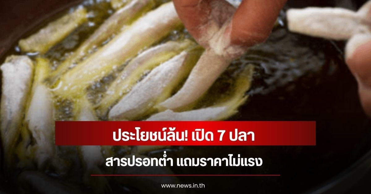 ประโยชน์ล้น! เปิด 7 ปลา สารปรอทต่ำ แถมราคาไม่แรง