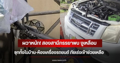 ผวาหนัก! สองสามีภรรยาพบ งูเหลือมซุกทั้งในบ้าน-ห้องเครื่องรถยนต์ ภัยเร่งเข้าช่วยเหลือ
