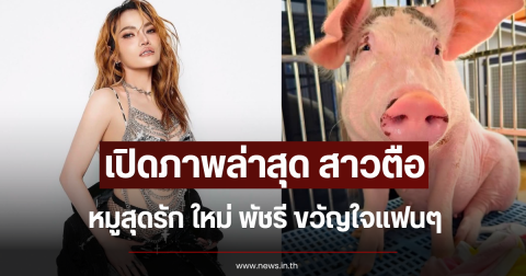 เปิดภาพล่าสุด สาวตือ หมูสุดรัก ใหม่ พัชรี ขวัญใจแฟนๆ