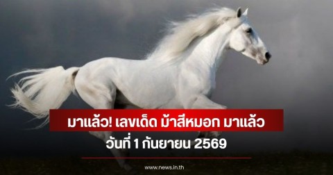 มาแล้ว! เลขเด็ด ม้าสีหมอก มาแล้ว วันที่  1 กันยายน  69