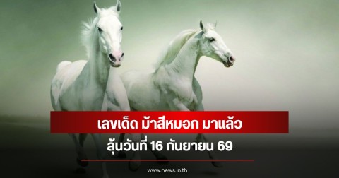 เลขเด็ด ม้าสีหมอก มาแล้ว ลุ้นวันที่  16 กันยายน  69