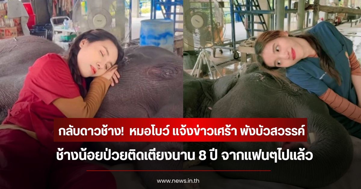 กลับดาวช้าง!  หมอโบว์ แจ้งข่าวเศร้า พังบัวสวรรค์ ช้างน้อยป่วยติดเตียงนาน 8 ปี จากแฟนๆไปแล้ว