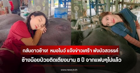 กลับดาวช้าง!  หมอโบว์ แจ้งข่าวเศร้า พังบัวสวรรค์ ช้างน้อยป่วยติดเตียงนาน 8 ปี จากแฟนๆไปแล้ว
