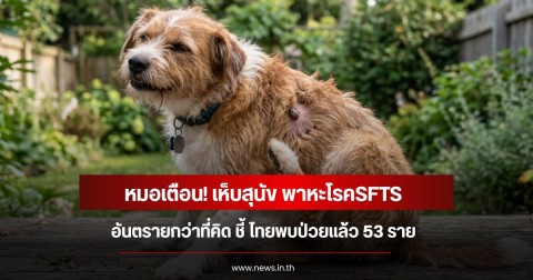หมอเตือน! เห็บสุนัข พาหะโรคSFTS อันตรายกว่าที่คิด ชี้ ไทยพบป่วยแล้ว 53 ราย