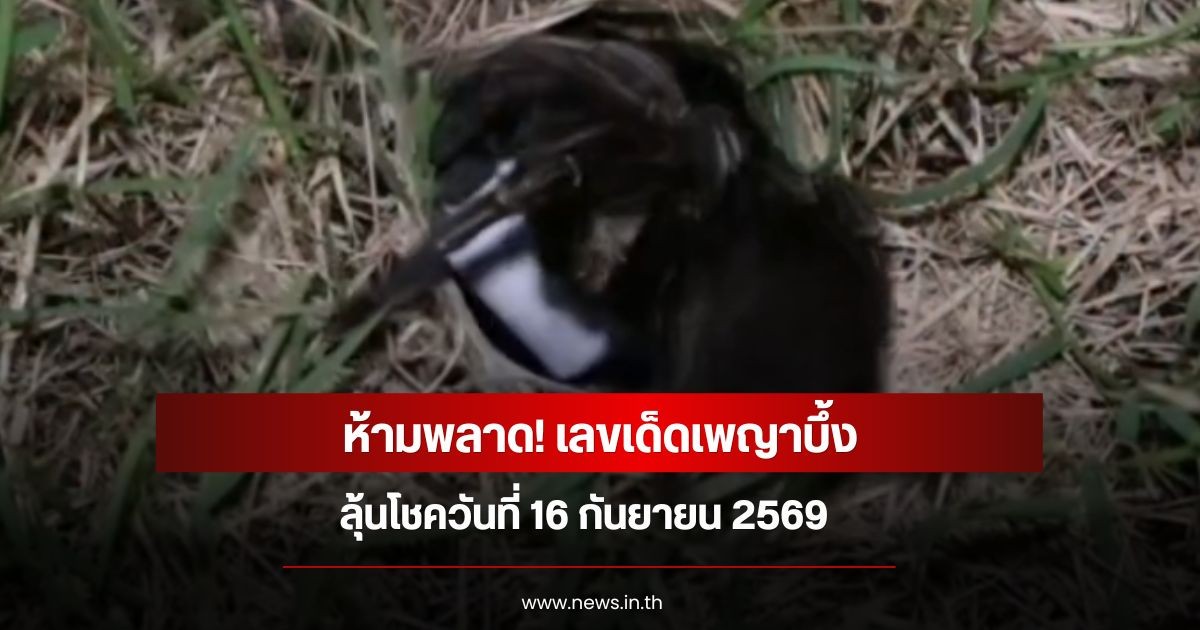 ห้ามพลาด! เลขเด็ดเพญาบึ้ง ลุ้นโชควันที่ 16 กันยายน 2569