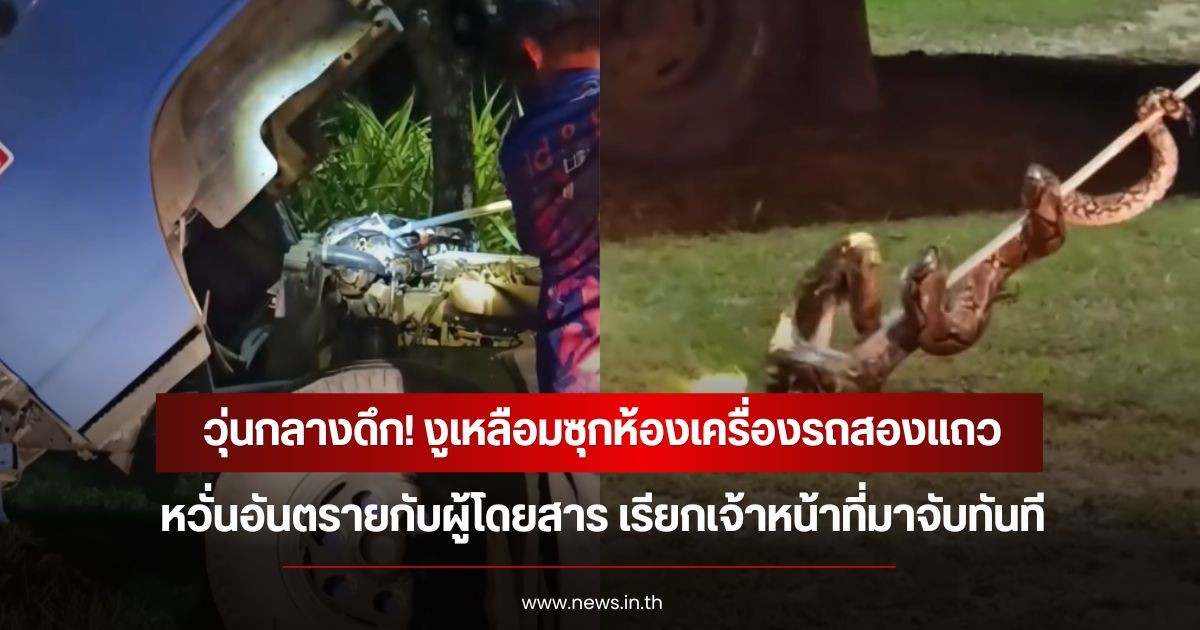 วุ่นกลางดึก! งูเหลือมซุกห้องเครื่องรถสองแถว หวั่นอันตรายกับผู้โดยสาร เรียกเจ้าหน้าที่มาจับทันที