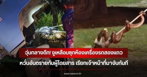 วุ่นกลางดึก! งูเหลือมซุกห้องเครื่องรถสองแถว หวั่นอันตรายกับผู้โดยสาร เรียกเจ้าหน้าที่มาจับทันที