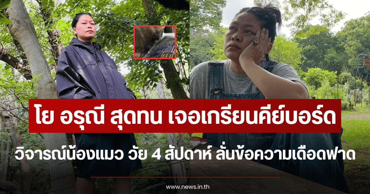โย อรุณี สุดทน เจอเกรียนคีย์บอร์ดวิจารณ์น้องแมว วัย 4 สัปดาห์ ลั่นข้อความเดือดฟาด