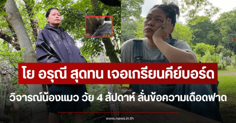 โย อรุณี สุดทน เจอเกรียนคีย์บอร์ดวิจารณ์น้องแมว วัย 4 สัปดาห์ ลั่นข้อความเดือดฟาด