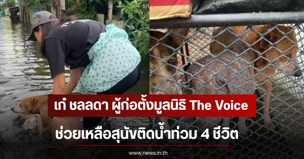 เก๋ ชลลดา ผู้ก่อตั้งมูลนิธิ The Voice ช่วยเหลือสุนัขติดน้ำท่วม 4 ชีวิต