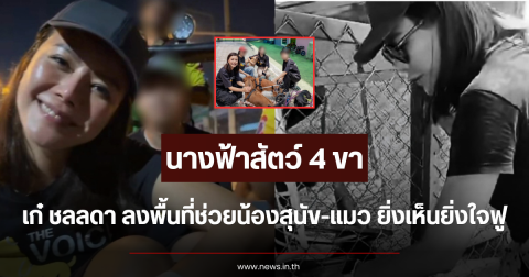นางฟ้าสัตว์ 4 ขา เก๋ ชลลดา ลงพื้นที่ช่วยน้องสุนัข-แมว ยิ่งเห็นยิ่งใจฟู