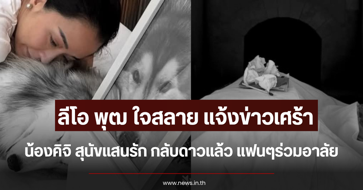 ลีโอ พุฒ ใจสลาย แจ้งข่าวเศร้า น้องคิจิ สุนัขแสนรัก กลับดาวแล้ว แฟนๆร่วมอาลัย